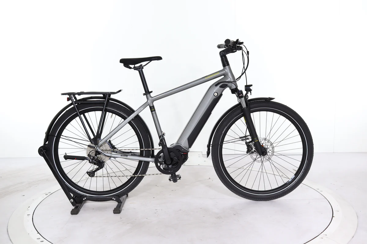 Winora Sinus iX10