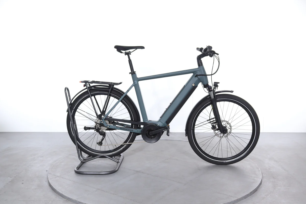 Winora Sinus 9
