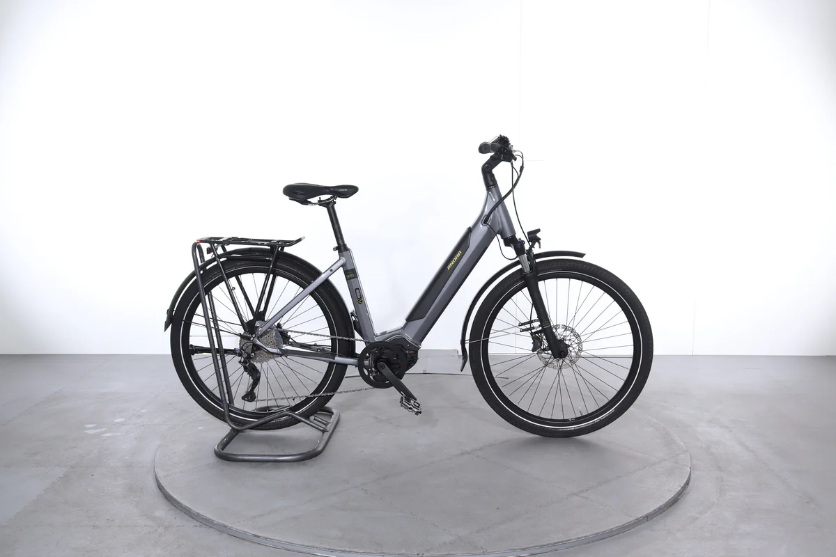 Winora Sinus IX 10